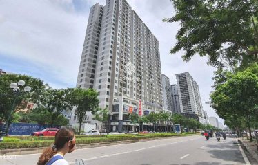 Chung cư Handico Complex